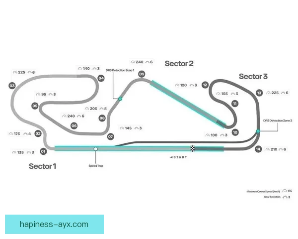 F1赛季最新动态揭晓各车队策略与赛道表现分析