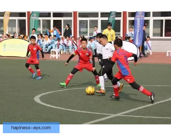 北京市足球联赛精彩回顾与未来发展趋势全面解析